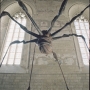 Louise Bourgeois, Spider, 1995