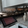 Musée d'Histoire de Marseille. Parcours permanent des collections : séquence 3 « Le site archéologique de la Bourse, de 600 av ; J.-C. à nos jours.