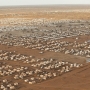 Camps de Dadaab, plus grand camp de réfugiés au monde avec les 500 000 réfugiés qu’il accueille au Kenya © UNHCR/Brendan Bannon