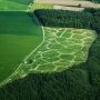 Agricultural printing and altered landscapes, Unterwaldhausen