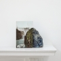 Stuart Whipss, A postcard of Victoria Falls leaning against a geological sample from John Latham's mantlepiece, 2012