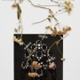 Camille Henrot, Jewels from the Personal Collection of Princess Salimah Aga Khan, fleurs et plantes séchées et pressées, 135 planches, 27,5 x 43 cm (chacune) / Camille Henrot, Jewels from the Personal Collection of Princess Salimah Aga Khan, pressed plant