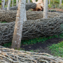 Chemin de vie, installation de Bob Verschueren  