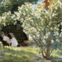 Peder Severin Krøyer 