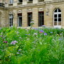 Des Jardins dans la ville – « Une prairie fleurie en ville ? », Hôtel de ville, Bordeaux