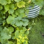 Des Jardins dans la ville – « Les terres des possibles », Quinconces, Bordeaux