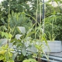 Des Jardins dans la ville – « La coopération du vivant », place Pierre Renaudel, Bordeaux