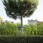 Des Jardins dans la ville – « Le Grand Roux », quais des sports, Bordeaux