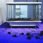Cocktail Designers et Olivier Vadrot - Kiosque électronique, 2004