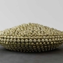 Subodh Gupta