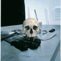 Skull and Knives,2005