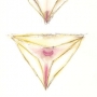Culottes de Diane (2001), Encre de chine et crayon de couleur 