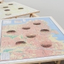 3-D Cities, 2008-2010  Printed maps on wood, dimensions variable,Mona Hatoum  ©Joerg Lohse, Courtesy Alexander and Bonin, New York