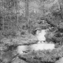 Félix Arnaudin, La Vignole, lapas roulés, près parc Valmy Dupin, 16 janvier 1896, d'après négatif sur verre au gélatino-bromure d'argent