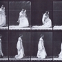 Eadweard Muybridge Animal Locomotion: Females & Males (draped). Plate 207.