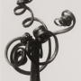 Karl Blossfeldt, Urformen der Kunst, 1928