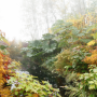 Splendeurs d'automne © Eric Sander