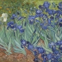 Vincent Van Gogh, Iris, 1889, huile sur toile, 71 x 93 cm J. Paul Getty Museum, Los Angeles © Bridgeman Images