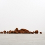 Antony Gormley  Ground, 2015 Fer forgé, 1295 kg Dimensions variables © Antony Gormley 