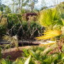 LE JARDIN DES MANGROVES