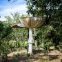 Carsten Holler Giant multiple mushroom