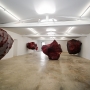 Anish Kapoor - Peyrassol