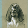 Rosa Bonheur (1822-1899) Tête de chien 1869 Fusain pastel et craie blanche sur papier bleu © Musée des Beaux-Arts de Bordeaux, photo L. Gauthier.