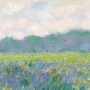 Claude Monet, Champ d’iris jaunes à Giverny, 1887. Paris, musée Marmottan Monet © musée Marmottan Monet, Paris