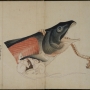 Saumon salé et souris blanche © Hokusaikan Museum. Obuse
