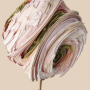 Rosa spiralis