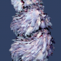 Flora incognita,  Herbier Astrobotanique 2023- 2025