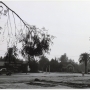  Red-Lands California, 1984 Robert Adams